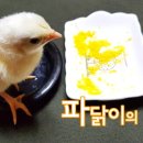 마실먹빵 네이버블로그