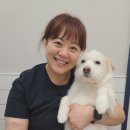 달래동물의료센터 이미지