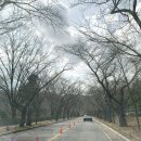 호암공원 화장실 이미지