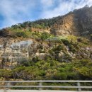 (주)팀내쇼날 | 해외여행) 시드니 자유여행 5일차 w.친구 (feat. 놀러와시드니 '울릉공은 예쁘다')