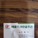 애플스크린골프장 이미지