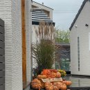 슬로우팔봉45 이미지