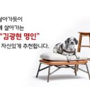 션킴모터스 이미지