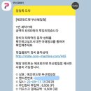 온니비