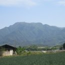삼산2리 Daum카페