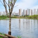 버거킹 평택지제동삭점 이미지