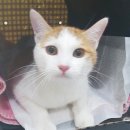 곰곰동물병원 이미지