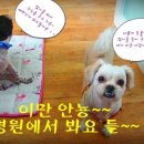 아빠 동물병원 이미지