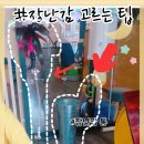 드럼통고양이 이미지