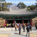 부여(사비)-01 이미지