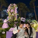 엘에스이브이코리아 앞 | 아이와 함께 가기 좋은 잠실 포켓몬 메타몽 대량 발생구간 다녀온 후기