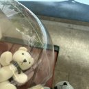 반석목욕탕 | 5월 일 삶