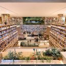 메디칼필드 이미지