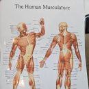 코어비츠 | 목·어깨 통증 한방에 풀린다… 송탄체형교정 코어비츠 마사지 솔직후기