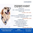 정직 동물병원 이미지