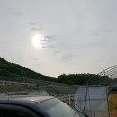 이리농장 이미지