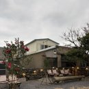 1329 | 제주도 공항근처 카페 미르담 고양이 카페 (내돈내산 후기)