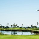 스카이앤오션 이미지