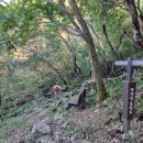 오동골1 이미지