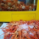 일산수산물시장 이미지