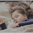 푸른바다하우스 이미지