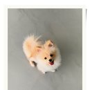 아이조아 요양보호소 경기광주 이미지