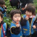 대신주말농장 정보화마을 이미지