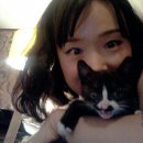 슈르+ 동물병원 이미지