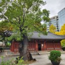 나무이야기 이미지