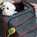 최광호동물병원 이미지