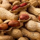 명지헬스 이미지