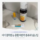 미산 | 돌아기 결막염 눈 충혈에 효과 있었던 처방 안약 포러스 연고 토라미산 실제 후기