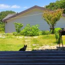 나들이펜션 이미지