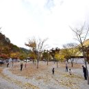 소풍캠핑장 이미지