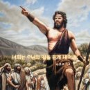 ⛪️ 대림 제2주일(인권 주일, 사회 교리 주간) 이미지