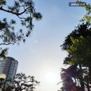 성광세탁 이미지