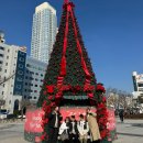 번화로 | 임산부 1박 2일 5인가족 목포여행(시아버지 환갑을 곁들인 6️⃣0️⃣💟)