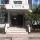 신세대지큐빌 이미지