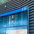913 | 대한항공 KE913 인천 - 마드리드 일반석 기내식, 좌석, 간식 후기