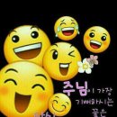 뿌리깊은나무 이미지