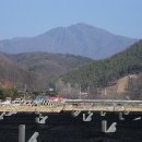 용문산 은행나무길(물소리길 6코스) 이미지