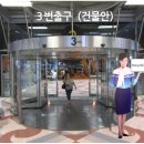 안타이여행사