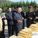 동지농장 이미지