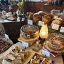 백화제방 이미지