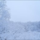 삼가-21 이미지