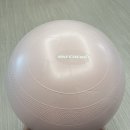 65 | 28주 임산부 순산 운동, 스케쳐스 안티버스트 짐볼 65cm 내돈내산 후기