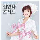 김연자 콘서트 이미지