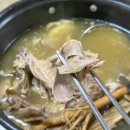 청남오리 이미지