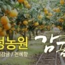 송정농원 이미지