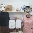 오키나와 온열센타 네이버블로그